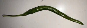 25 + Green Chili pepper seeds Spicy Rare Boston Massachusetts Grown Mother Plant - Picture 1 of 1
