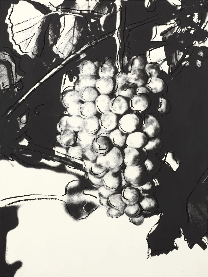 ANDY WARHOL Surrealism Poster or Rolled Canvas Print "GRAPES" F - Image 1 of 1