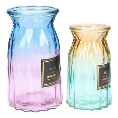  2 Pcs Blumenvase Modern Übertopf Glas Einfacher Stilvase Farbenfrohe - Bild 1 von 4