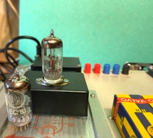EC81 VALVO ORO PIN EMPAREJADO PAR PROBADO CON ROETEST V10 NUEVO EN CAJA/NUEVO EN CAJA - Imagen 1 de 7