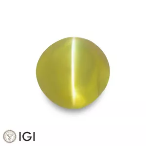 IGI Certified CEYLON Chrysoberyl Cat's Eye 2.22 Ct. Natural Untreated 6 MM ROUND - Picture 1 of 8