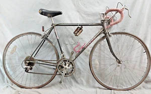 1983 Schwinn World Sport Touring Road Bike 54cm Small Chromoly Steel USA Shipper - Picture 1 of 16