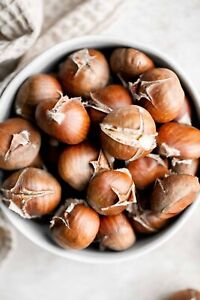 Fresh Raw Small size Chestnuts - FAST SHIPPING