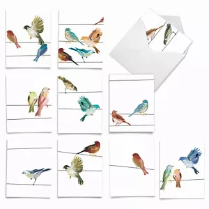 10 All Occasion Blank Cards Assortment - HIGH WIRE BIRDS M3318 - Picture 1 of 6