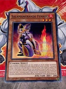 Carte YU GI OH SALAMANGRANDE FENNEC DANE-FR003 x 3 - Picture 1 of 1