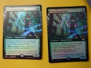 MTG Card. Dragonsguard Elite x2 Borderless FOil Strixhaven Human Druid 2 cards - Picture 1 of 8