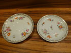 Great Pair of detailed floral Selb Rosethal marked saucers 5 3/4&quot; [Y8-W6-A9]