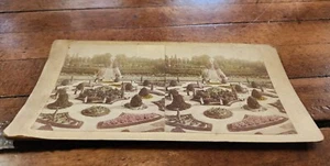 Antique Stereoview Card Shaw's Missouri Botanical Gardens View from Palm House - Picture 1 of 2