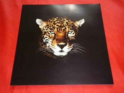 Folleto Jaguar XJ6 Daimler Double Six XJS V12 XJR-S 6.0 Sovereign Prospekt 1992 Foto 1 de 4