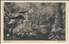 Ansichtskarte Mannheim - Palmenhaus - Innenaufnahme - sehr alt - schwarz/weiß