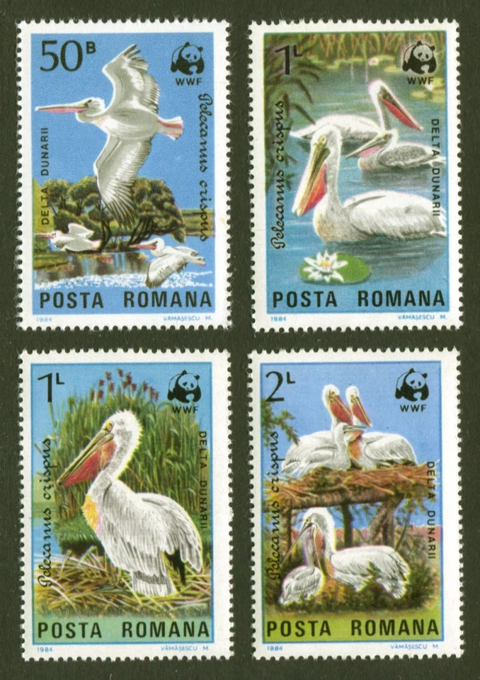 Rumania Sc# 3232-5, WWF- Pelícanos del Delta del Danubio, Juego de 4 estampillas MNH sin fallas Foto 1 de 1