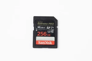 San Disk Extreme Pro 256GB 95MB/s Class 10 SDXC Memory Card For DSLR Camera - Picture 1 of 6