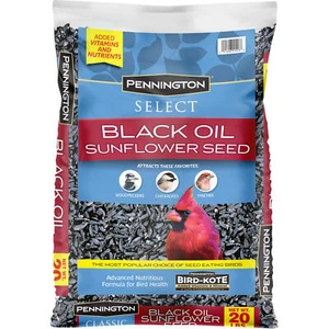 Pennington Select Black Oil Sunflower Seed Wild Bird Feed, 20 lb. Bag - Picture 1 of 11