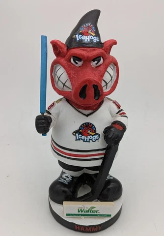 Rockford Ice Hogs Hammy Mascot Star Wars Gnome SGA Chicago Blackhawks 2018 AHL Cover