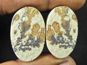 Natural Psilomelane Germane Dendrite Matching pair Stone 17X27X05 MM s915 - Foto 1 di 9