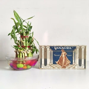 1930s Vintage Joseph Crosfield Sons Tanagra Toilet Soap Cardboard Box CB239 - Picture 1 of 7