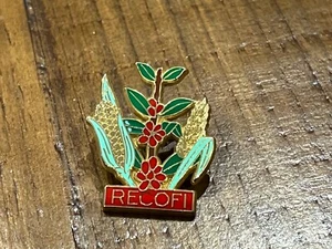 PINS PIN MAIS RECOFI    ARTHUS BERTRAND DORE - Picture 1 of 1