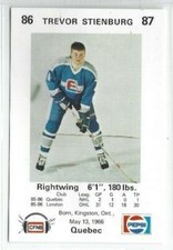 1986-87 Fredericton Express (AHL) Trevor Stienburg