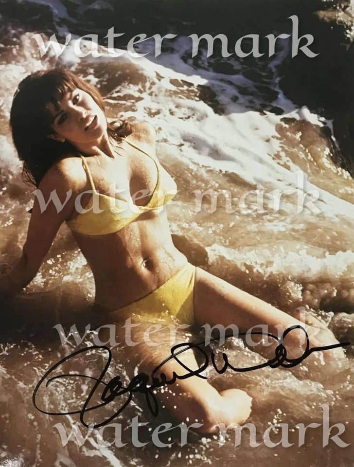RAQUEL WELCH AMERICAN ACTRESS REPRINT SIGNED PHOTO 8"X11" — 第 1/1 张图片