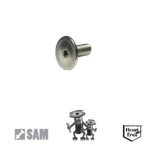 25 BIG Sammy® Schrauben M2X10 sehr großer+niedriger Flachkopf Torx Edelstahl A2 - Bild 1 von 2