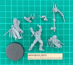 Brazen Champion Scions of the flame Warhammer Warcry Slaves Darkness Single D7 B - Picture 1 of 1