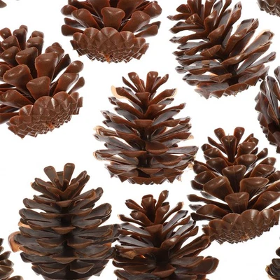 30pcs Fake Pine Cone Decor Artificial Pine Cone Cone Christmas Pine Cone Decor - Photo 1/4