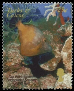 TURKS and CAICOS 1367c - QEII Golden Jubilee Underwater Scenery" (pb63798) - Picture 1 of 1