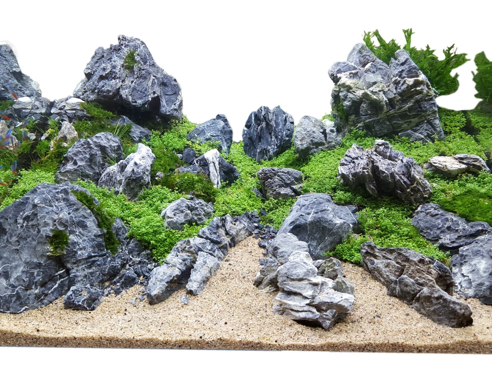 25 Lbs Aquascaping Seiryu Stone aquarium tropical fish plant shrimp $2.50/Lb - Image 1 of 4