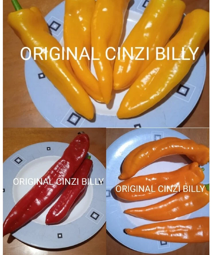 Mix 70 semi  peperone corno dolce giallo rosso arancione peperoni semi.italiani - Immagine 1 di 1