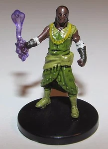 HUMAN DRUID 7B Tomb of Annihilation D&D Dungeons and Dragons miniatures - Picture 1 of 1