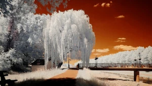 46mm Pixonyx  IR Filter  Infrarot 720nm  mit Filterbox   46mm 46mm - Bild 1 von 2