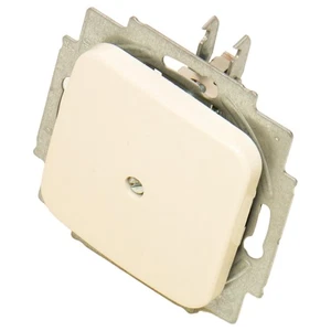 BUSCH JAEGER 404.5049 BUSCH JAEGER, placa ciega blanco crema, B&J estándar ........ - Imagen 1 de 10