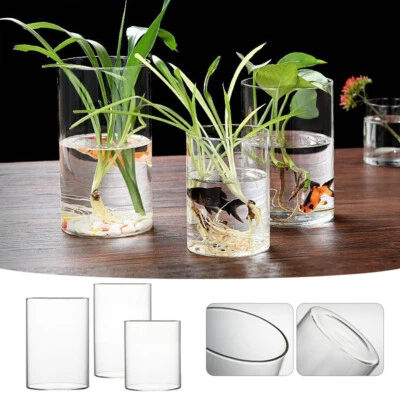 Mini Fish Tank Glass Aquarium Bottle Hydroponic Landscape Vessel Vase Decor NEW - image 1 of 4