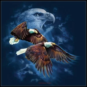 Eagle Spirit - DIY Chart Counted Cross Stitch Patterns Needlework DMC Color   - Picture 1 of 2