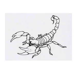 Temporäre Tattoos / Transfers "Skorpion" (TO00031338) - Bild 1 von 2