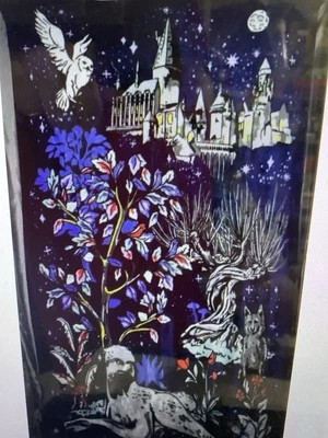 Vera Bradley Harry Potter Purple Plush Throw 80X50 Blanket Forbidden Forest - Image 1 of 3