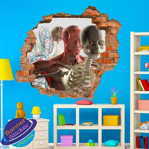 ANATOMY SYSTEMS HUMAN BODY WALL STICKERS ART DECAL MURALS ROOM SCHOOL DECOR XW1 - Picture 1 of 3