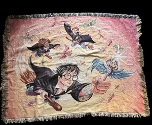 Harry Potter The Key Hermine, Ron Wandteppich Überwurf Decke Vintage Y2K 44 x 60, - Bild 1 von 12