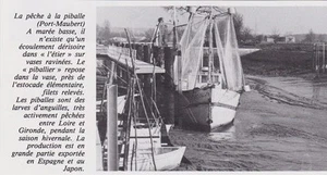 1986 -- LA PECHE A LA PIBALLE A PORT MAUBERT 3E574 - Bild 1 von 1