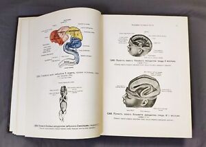 Rare Book 1948 Human anatomy Atlas medicine textbook Medical book Russian USSR