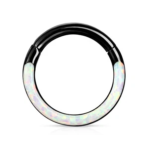 1pc 316L Surgical Steel Opal Front Edge Hinged Segment Ring Septum Clicker - Picture 1 of 24