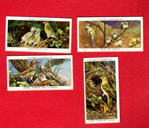 4-1937 John Player & Sons Birds & Their Young #'s 16,39,41,48 & bonus cards - Picture 1 of 2