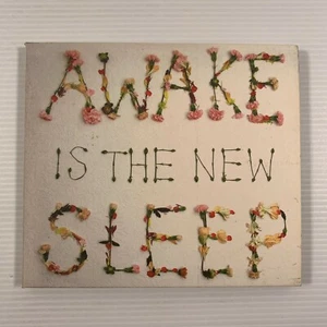 Awake Is the New Sleep by Ben Lee (CD 2005 Inertia) 14 tracks - Picture 1 of 3