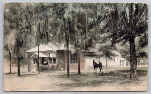 1909 Belleview FL -Early View of Bush Memorial library - Woman & Horse Postcard - Picture 1 of 7