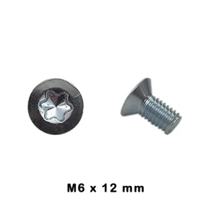 Bremsscheibenschrauben M6 x 12 Klasse 4,8 - Bild 1 von 1
