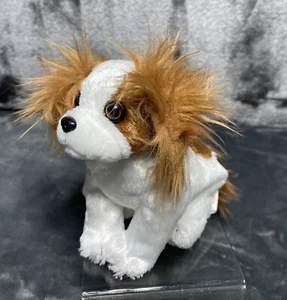 Ty Beanie Baby Originale REGAL il Cane Re Carlo Spaniel Ritirato 11-11-2000 - Foto 1 di 13