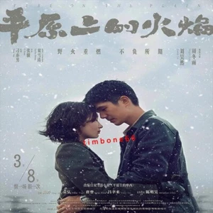 2025 Chinese Drama FIRE ON THE PLAIN 平原上的火焰 Chinese Sub BOXed 爱情 - Imagen 1 de 3