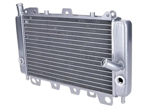Gilera Runner 125 FX 2T DT Radiator Runner FX VX VXR Beverly X9 125 180 200 - Picture 1 of 1