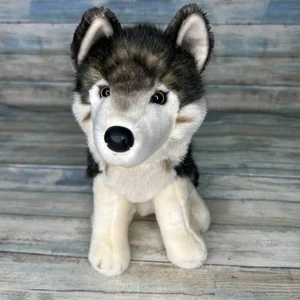 Husky Douglas Kuscheltier Wolf Hund Plüschtier Realistisch Stofftier - Bild 1 von 8