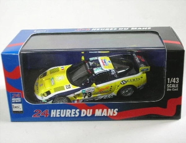 Chevrolet Corvette C5-R Nr. 73 Lemans 2007 - Immagine 1 di 1